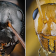 Imagen para el artículo titulado ¿Quieres ver algo aterrador? Pues no te pierdas las hormigas que captura este fotógrafo